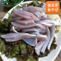 [자연산] 당일조업 생물 병어 1kg 병어회 선도보장, 병어(대) 1kg 4-6미, 횟감 손질, 1개
