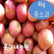 경북 안동 부사 흠과 가정용 못난이 꿀 햇 사과 4kg 흠집 중소과, 단품