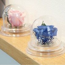 잉글랜드 프리저브드플라워 프리저버드 안시드는꽃 유리돔, 파우더블루