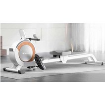 로잉머신 음소거 소형 지방연소 다이어트 체중감소 홈, B