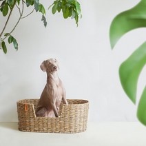 라탄 숨숨집 고양이 침대 애완견 반려 둥지 캣 집 동물 등나무 강아지 하우스, 겸용, 타원형