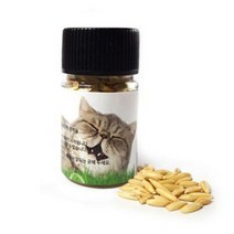 POM * 소화력 * 고양이 캣 그라스 헤어볼 배출 귀리 씨앗 14g TECH_89BA, YN_@@->> 귀리씨앗 14g” class=”wr-img”></a></div></p></div></p></div></p></div><div class=