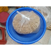 더덕씨앗 1kg 11만원, 1, 1개
