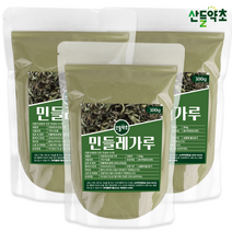 국내산 민들레 분말 가루 파우더 300g, 민들레가루 300gx3팩