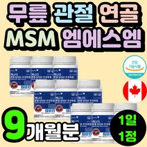 엠에스엠 MSM 캐나다 NAG 영양제 식이유황 할머니 할아버지 무릅 무릎 관절 연골 건강 기능 식품 N 엔 아세틸글루코사민 초록잎 청 홍합 70대 노인 허리에 관절에 좋은 60대