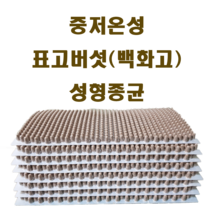 무농약표고버섯성형종균607구, 1.2kg, 1개