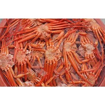 꿀꿀도매 자숙 연지홍게, 1개, 연지홍게_비품_12미