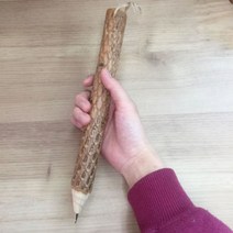 퍼니팬시 자이언트 통나무 볼펜