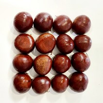 밤 공주밤 옥광밤 토종알밤 햇밤 공주정안 알밤 생밤 산밤 생율밤 왕밤 고급밤 종류선택, 일반밤, 일반밤대4kg, 1개