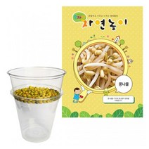 자연놀이 콩나물 키우기 풀세트 관찰일지 이름표 기르기