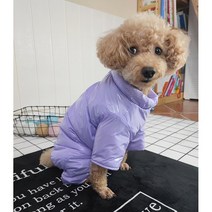 캔디글로우 우주복 워터프루프 방풍 방수 올인원 강아지 고양이 우비 비옷 글로시 비비드 레트로룩, 워터바이올렛