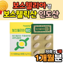 건조 보스웰리아 보수엘리아 추출물 캡슐 정 홈쇼핑 보스베리아 보이스웰리아 보스웰리아성분 먹는방법 할아버지 boswellia 인도 인도산