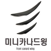 피트인 카나드윙 3종 컵윙 사이드 스포일러 에어댐 프론트립 립댐 레이저 가드 범퍼가드 휀다가드 에어로윙 미니, 중형, 카본