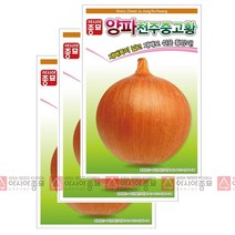 아시아종묘 양파씨앗종자 천주중고황(2.5gx3), 3개