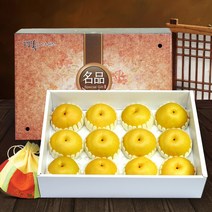 [발송일예약]소담촌 VIP고급선물용 나주배선물세트 7.5kg(11-12과)중대과, 9월19일~9월21일발송