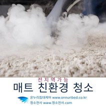 물세척고온 매트리스고온물세척 친환경청소 청소친환경 매트리스친환경청소 표면청소 청소매트리스 청소표면 매트리스표면청소 피톤치드매트리스 피톤치드소독