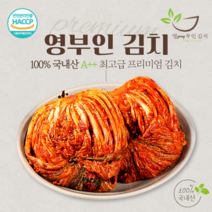 영부인김치 3종- 100% 국내산 프리미엄 김치 배추김치 총각김치 묵은지, 3 kg