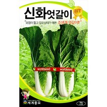 신화 엇갈이 배추 씨앗 종자 채소 씨 야채 김장 20g