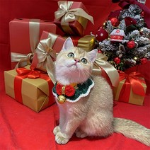 핸드메이드 고양이 케이프 스카프 강아지 애견 턱받이 뜨개 케이프 크리스마스, S, 그린