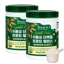 본트비 식물성 단백질 프로틴 밸런스, 420g, 2개