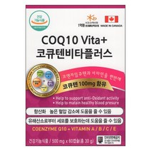 코큐텐 비타 플러스 60캡슐 항산화 혈압감소, 1개