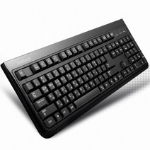삼성전자 SKG-3000UB (키스킨 미포함) 키보드-유선키보드, 선택없음