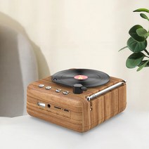 ELSECHO 레트로 휴대용 FM라디오 블루투스 스피커, 브라운, FHD-22