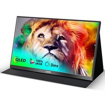 G STORY 15.6인치 모니터 QLED 1080P 노트북 sRGB 프레임리스 세컨드 스크린 USB C 외부 미니 HDMI 듀얼 스피커 PC 폰 게임 PS5 Xbox NS