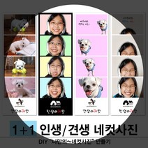 [동네사진관] 견생네컷 사진인화 애견사진 강아지 증명사진 반려동물사진, 1세트, 이동