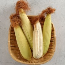 [인더팜] [산지직송]따자마자 보내는 미백찰옥수수 정품 20개/15cm내외, 상세 설명 참조