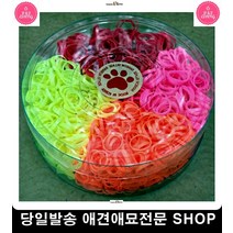 강아지쇼핑몰 형광머리고무줄 시츄 애견도매 애완견미용 강아지머리땋기 반려동물용품점, 1개