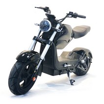 STOTER 라이더 전동스쿠터 60km 2000W 풀옵션, 12ah(40km), 무광블랙