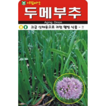 고급 산채용 두메부추씨앗(100립)(A0379)