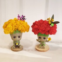 스칸디아 모스 승진 집들이 카페 개업 화분 천연이끼 인테리어 식물 귀여운 그루트 선물, 1.병아리, 엘로우
