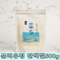 분리유청 단백질 분말 500g 단백질쉐이크 맛있는 영양보충 고단백