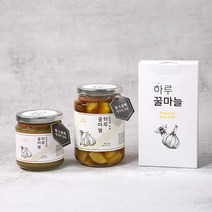 [선물용 답례품용] 먹기편한 스틱&떠먹는 병 하루 꿀마늘 2가지 맛 / 꿀마늘 마늘꿀절임, 1박스, [병 간마늘]하루꿀마늘500g과즙