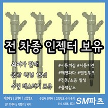 그랜드 스타렉스 인젝터 (17년~18년) / 포터2(17년) / 봉고3(17년) 인젝터 33800-4A900 /33800-4A950 유로 - 6 재 제조, 봉고3, 33800-4A900~4A950