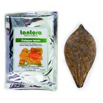 바보사랑 탄토라 알몬드잎 M(10장).라라아쿠아, 상세설명 참조