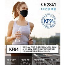 (국내생산) 식약처허가 KF94 솔래 방역용마스크 1매입(대형) x 100매 골라담기(화이트 블랙), 블랙