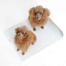 독톡 강아지 화장실 배변판 표준형, 연장형 배변판 L_화이트, 화이트, 1개