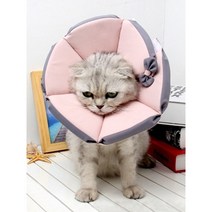 강아지 넥카라 고양이 수술 후 헤드 보호 긁기 깔대기 목 야외 산책 소풍 여행 핥음 꼬깔, 회색