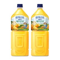해태음료 썬키스트 훼미리 제주감귤 농장 2L x 6개 펫