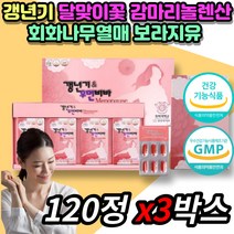 회화나무 열매 감마리 놀렌산 50대 60대 여성 갱년기 어머니 중년 여자 GLA 달맞이꽃 달마지 종자유 보라지유 월경전 에스트로겐 퀘르세틴 소포리코시드 대두 이소플라본 50대