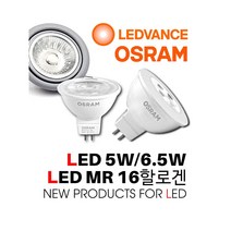 오스람 LED MR 16/LED 할로겐전구/5W/6.5W/할로겐 35W밝기/할로겐 50W밝기/레드밴스/소켓 GU 5.3, 01.LED MR 16 5W, 01.주광색(하얀빛)