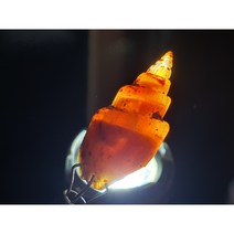 카넬리언 홍옥치환 고둥화석 / 칼세도니 화석 고생물 화석표본 관찰표본 이색수집품