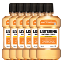 리스테린 내추럴 시트러스 250ml 6개 번들