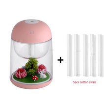 미니 가습기 휴대용 미스트 가정용 D 조명이있는 투명 조경 공기 스프레이 공기 청정기, 핑크 5 필터