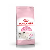 로얄캐닌 캣 마더 베이비캣 2kg, 2kg x 1개, 상세페이지 참조