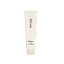 PAPARECIPE 블레미쉬 크림 (대용량) 100ml, FREE