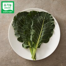 친환경 유기농 케일 녹즙 케일 즙용 쌈용 1kg 2kg 3kg 산지직송, 유기농 즙케일 2kg, 1개